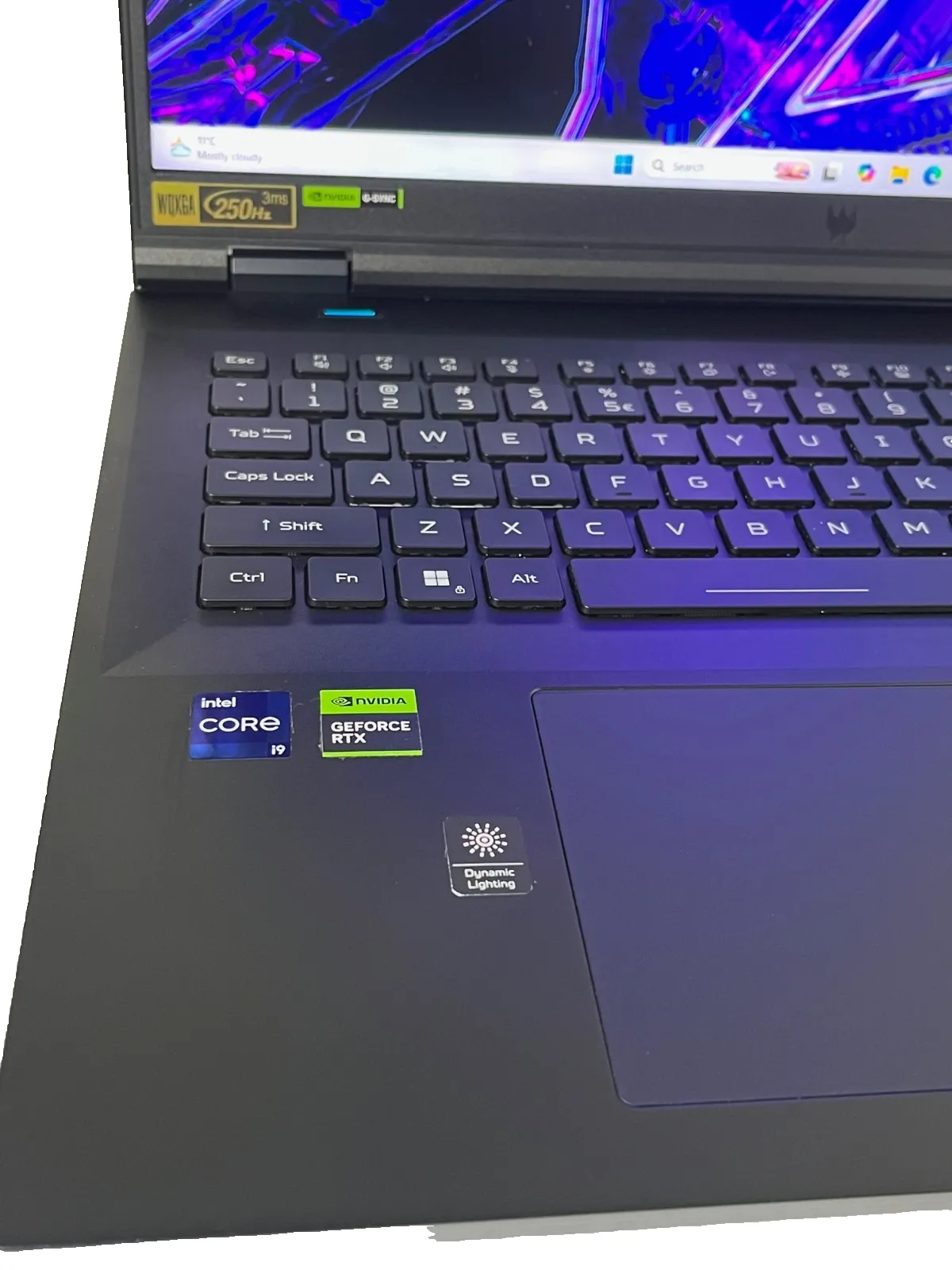 Acer Predator PH18-72 Intel i9-14900HX 32Gb RAM 1TB SSD 16Gb RTX4090 18" 250Hz